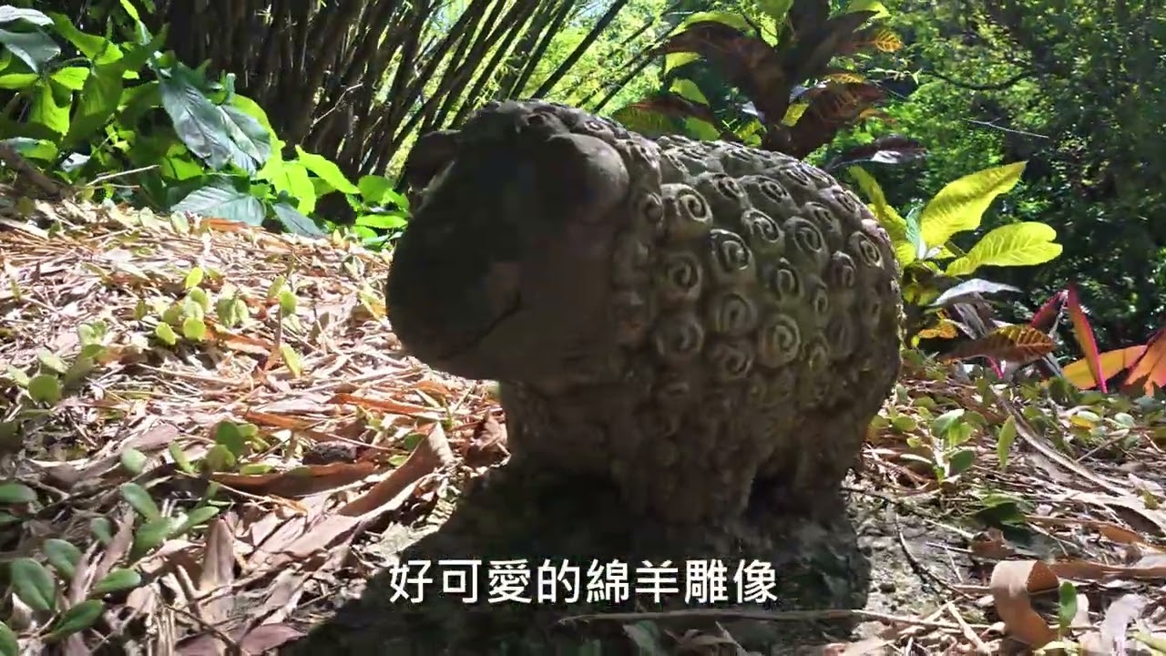 內湖大溝溪