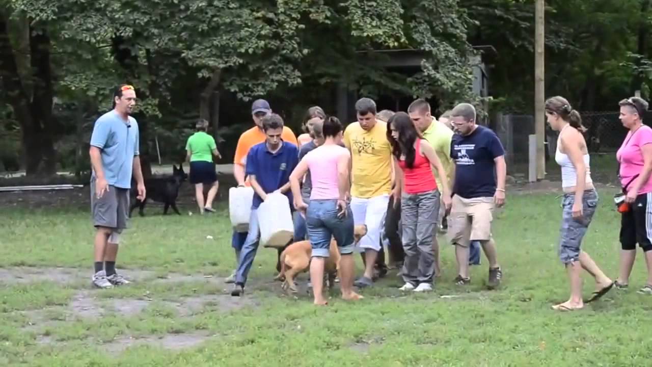 Korom Gábor Tükörmódszer