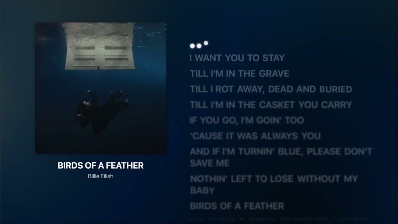 BIRDS OF A FEATHER - Billie Eilish