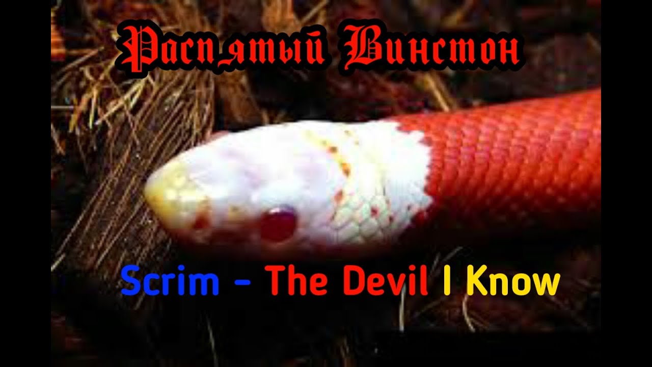 Scrim - The Devil I Know /rus sub/