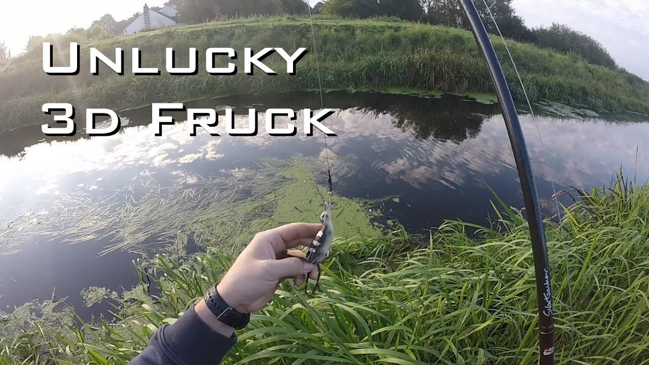 pechowa kaczka, savage gear 3d fruck