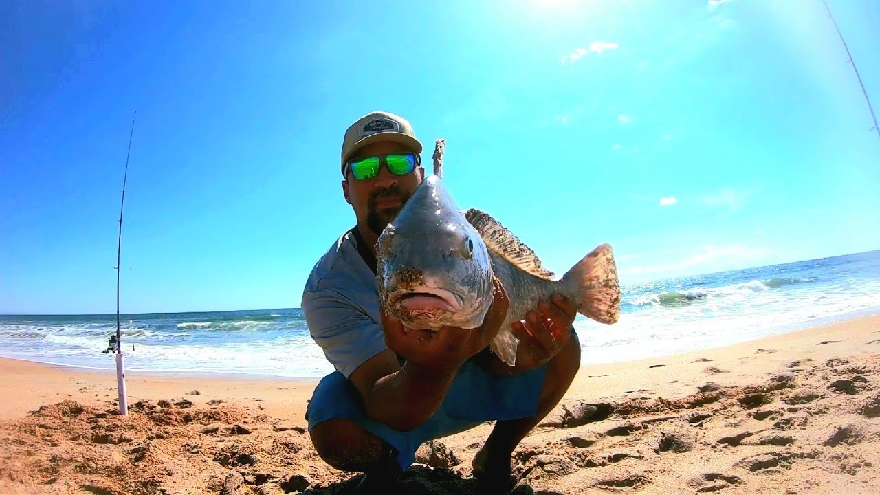 Surf Fishing Anastasia Island state park. BEST DAY EVER!