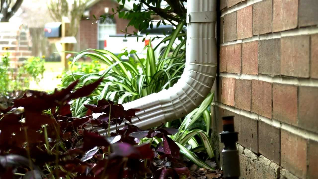 Canon XF100 Test Footage