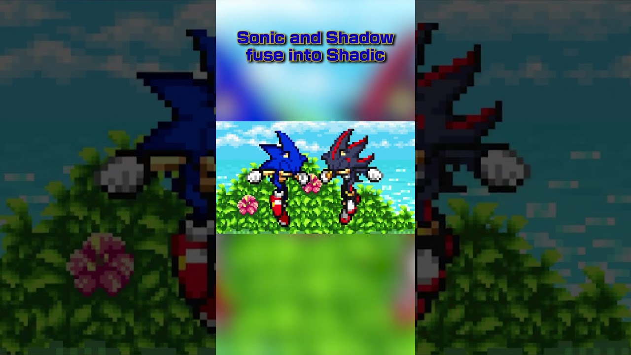 Sonic and Shadow fuse into Shadic