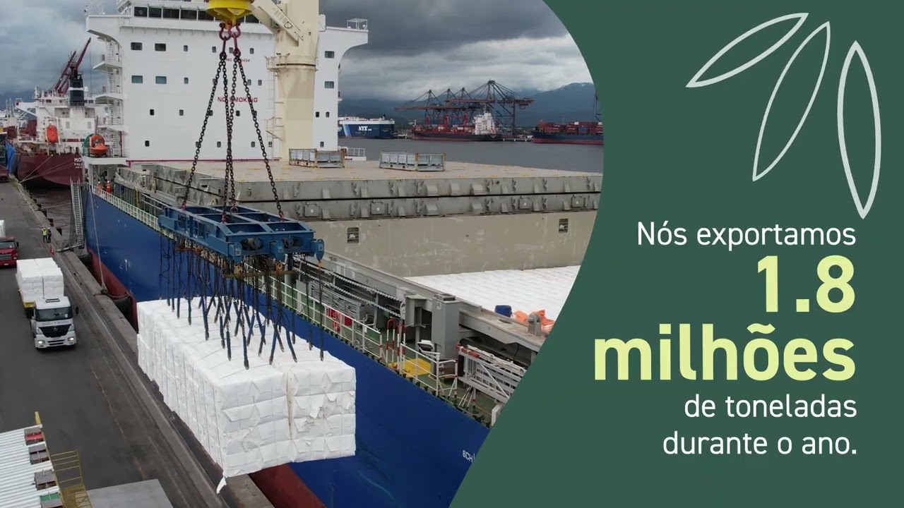 Recorde de Exporta&ccedil;&atilde;o em 2025: a celulose da Eldorado em escala global pelo Porto de Santos