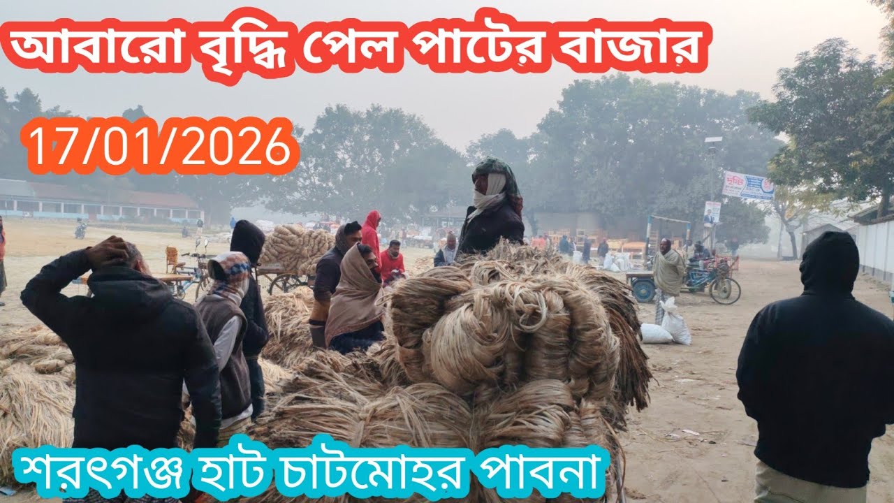 17 January 2026 আবারো বৃদ্ধিআজকের পাটের বাজার দর। Jute wholesale market price rate today 
