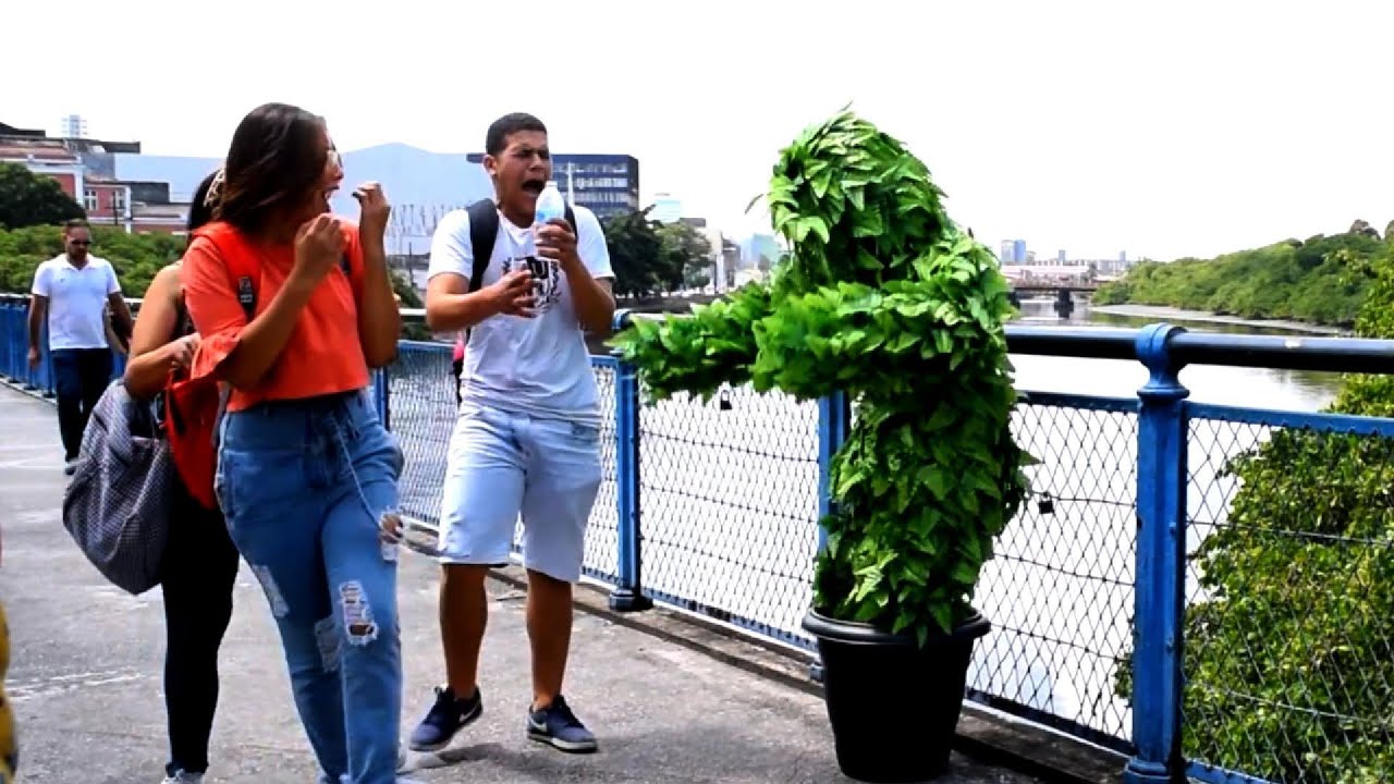 Bushman Prank 2026: From Pure Fear to Uncontrollable Laughter 😱😂