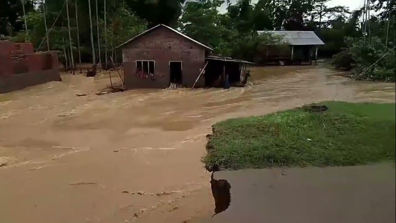 বলীয়া হানে তচ নচ কৰিলে। বেয়া লগা এটা দৃশ্য