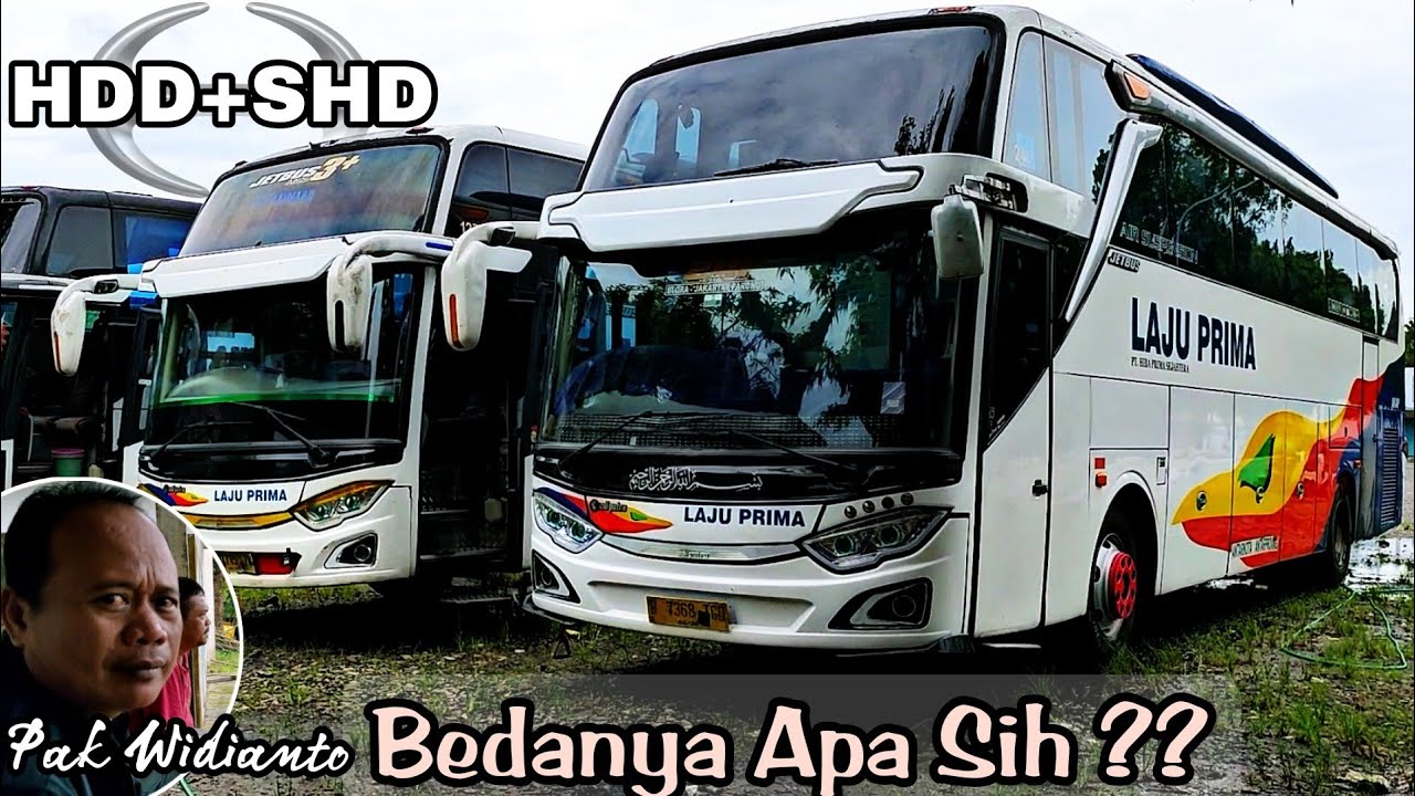 LAJU PRIMA Maen di Kelas Bawah 180K‼️ PERBEDAAN HDD vs SHD Class PATAS
