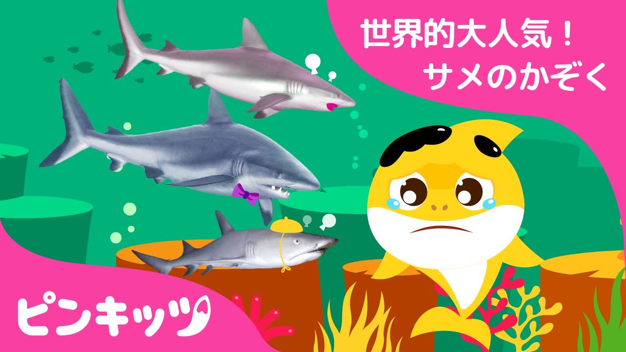 ★１位記念★サメのかぞくうたメドレー | ゆびあそびサメのかぞく ・ リアルなサメのかぞく他 | こどものうた | 人気童謡 | Pinkfong! | ピンキッツ！