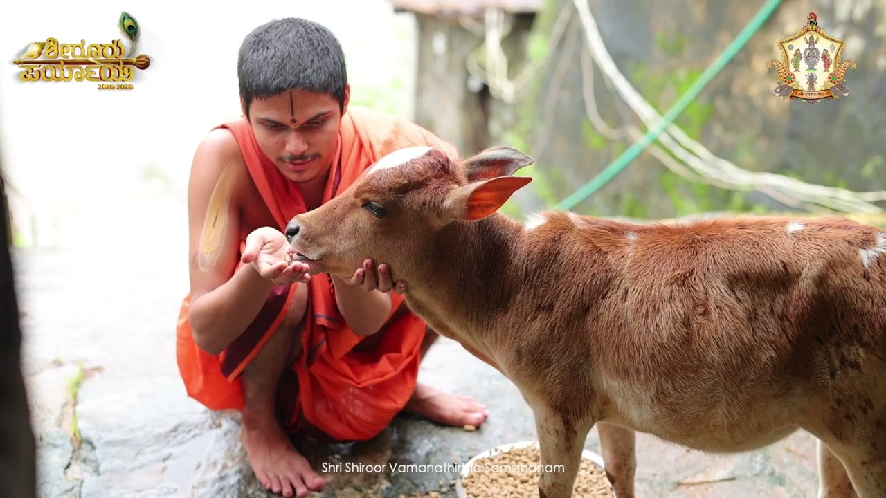 ಶ್ರೀ ಶೀರೂರು ಮೂಲ ಮಠದ ಗೋಶಾಲೆ ಅದರ ಹಿನ್ನಲೆ ಮತ್ತು ಮಾಹಿತಿ 