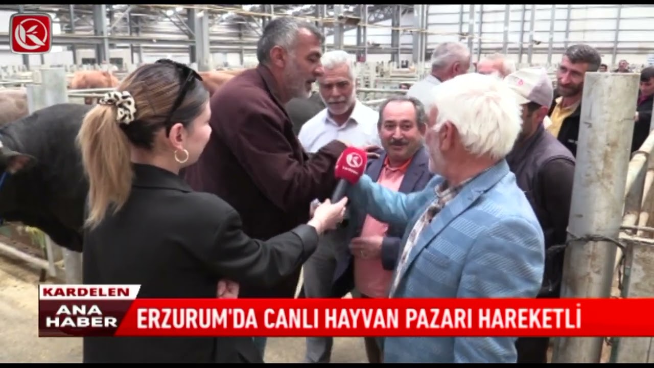 Kardelen TV | ERZURUM’DA CANLI HAYVAN PAZARI HAREKETLİ