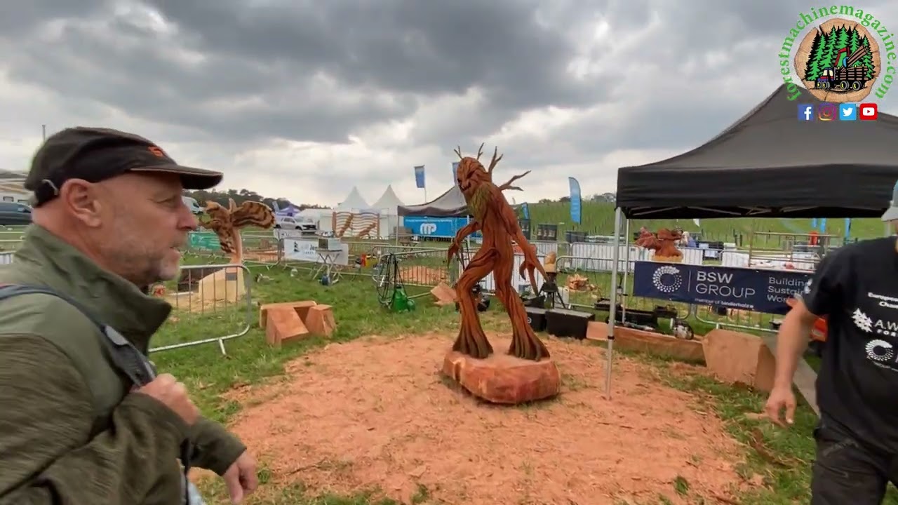 Chainsaw carvers