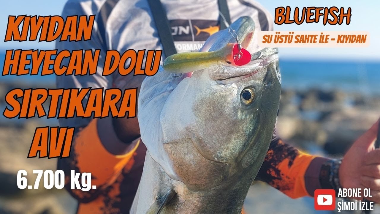 Sırtıkara Avı - Kıyıdan Heyecan dolu Sırtıkara avı - Didim Balık Avı
