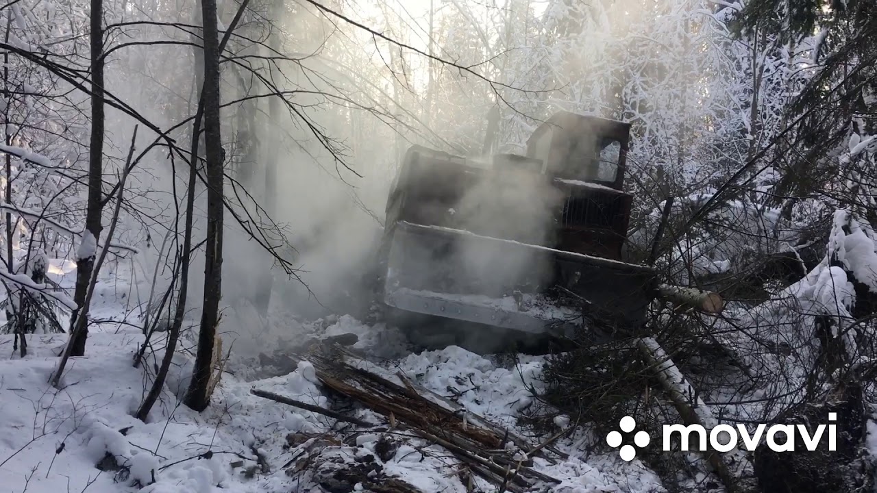 тдт-55 работа в делянке
