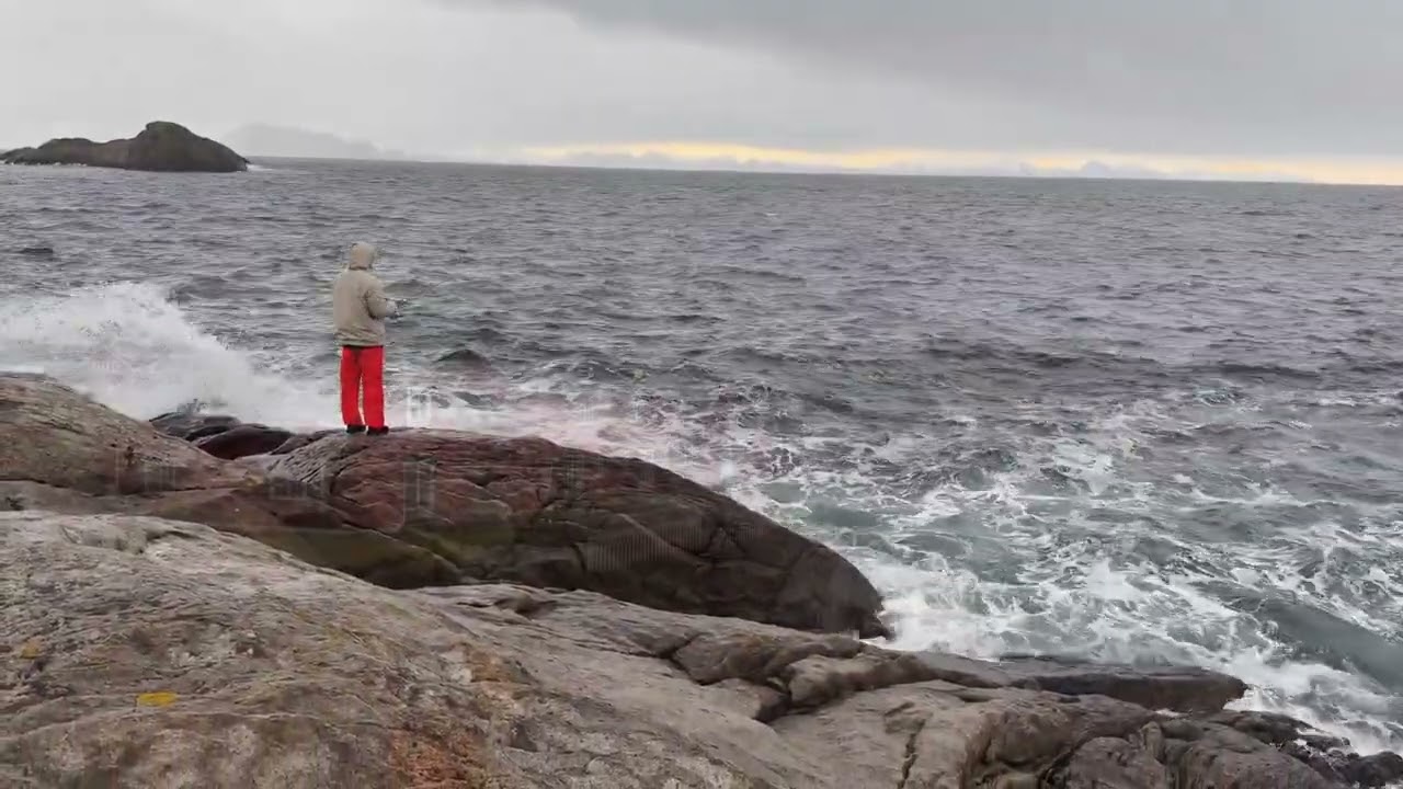 VIO Skole Lofotfiske