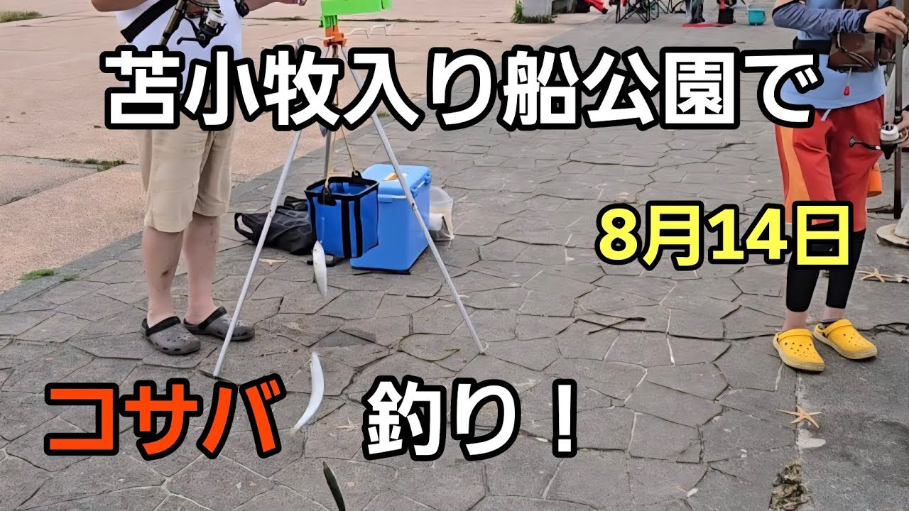 8月14日苫小牧でコサバ釣り！