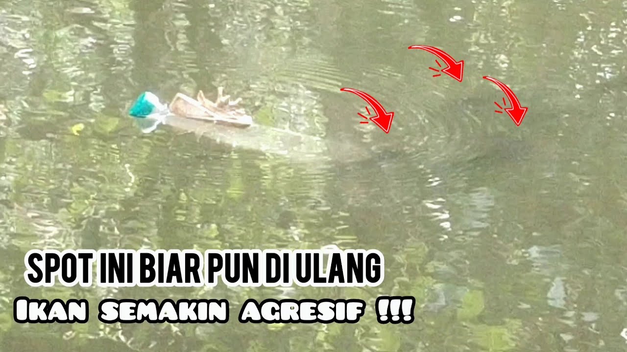 Buseeet!!! Serudugan terjadi berkali kali spot ini memang paten