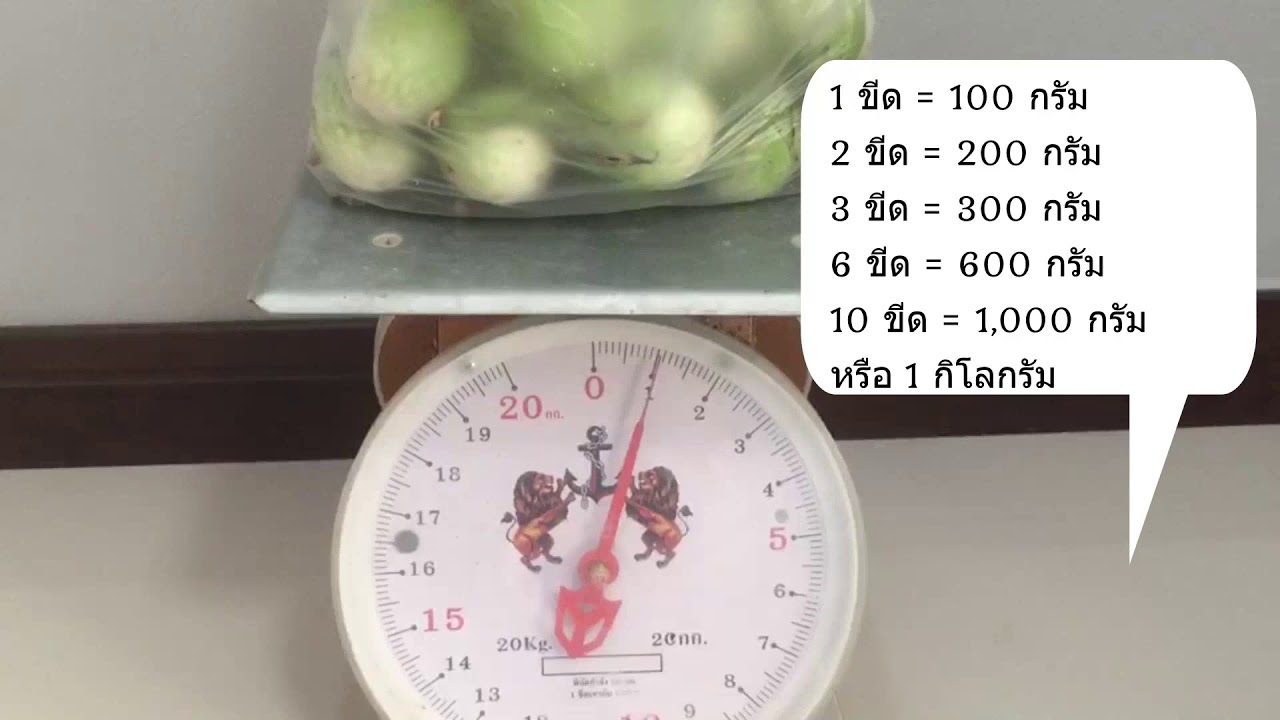การวัดน้ำหนักกิโลกรัม ขีด และกรัม ป 3