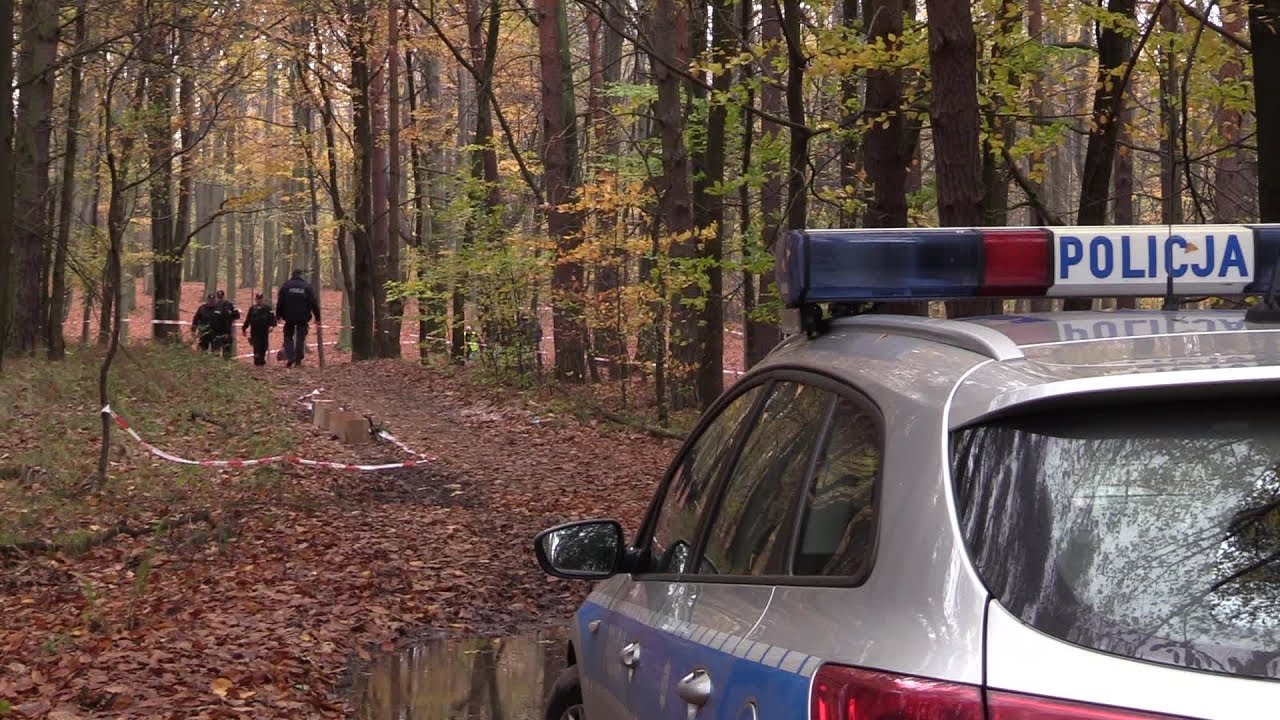 Znaleziono zwłoki w lesie na Kostuchnie 02.11.2017