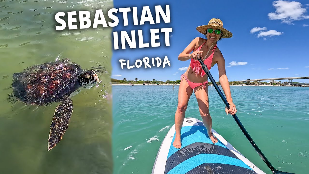 МОРСКИЕ ЧЕРЕПАХИ ВО ФЛОРИДЕ! 🌊💗🐢 Государственный парк Себастьян-Инлет