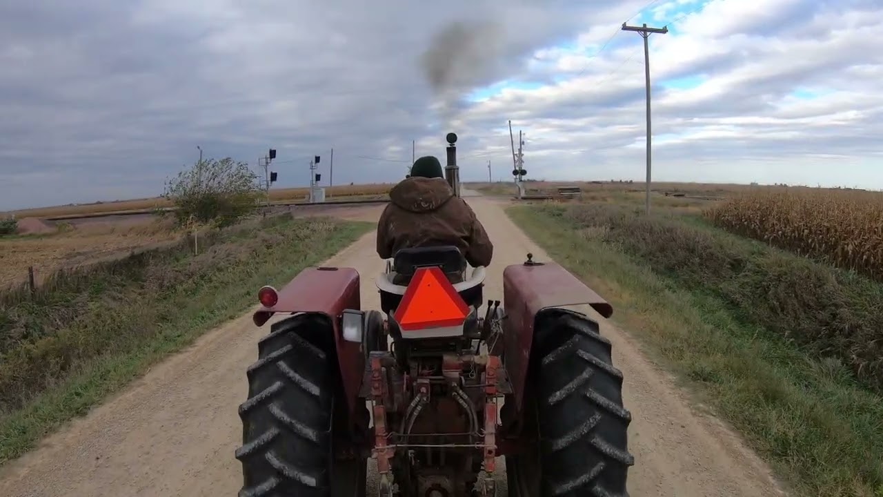 Corn harvest with our IH 1026 and IH 1066