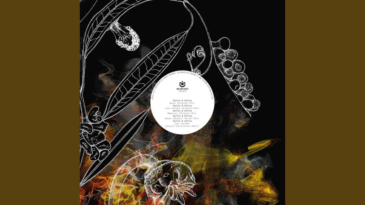 Love Tonight (Several Definitions Remix)