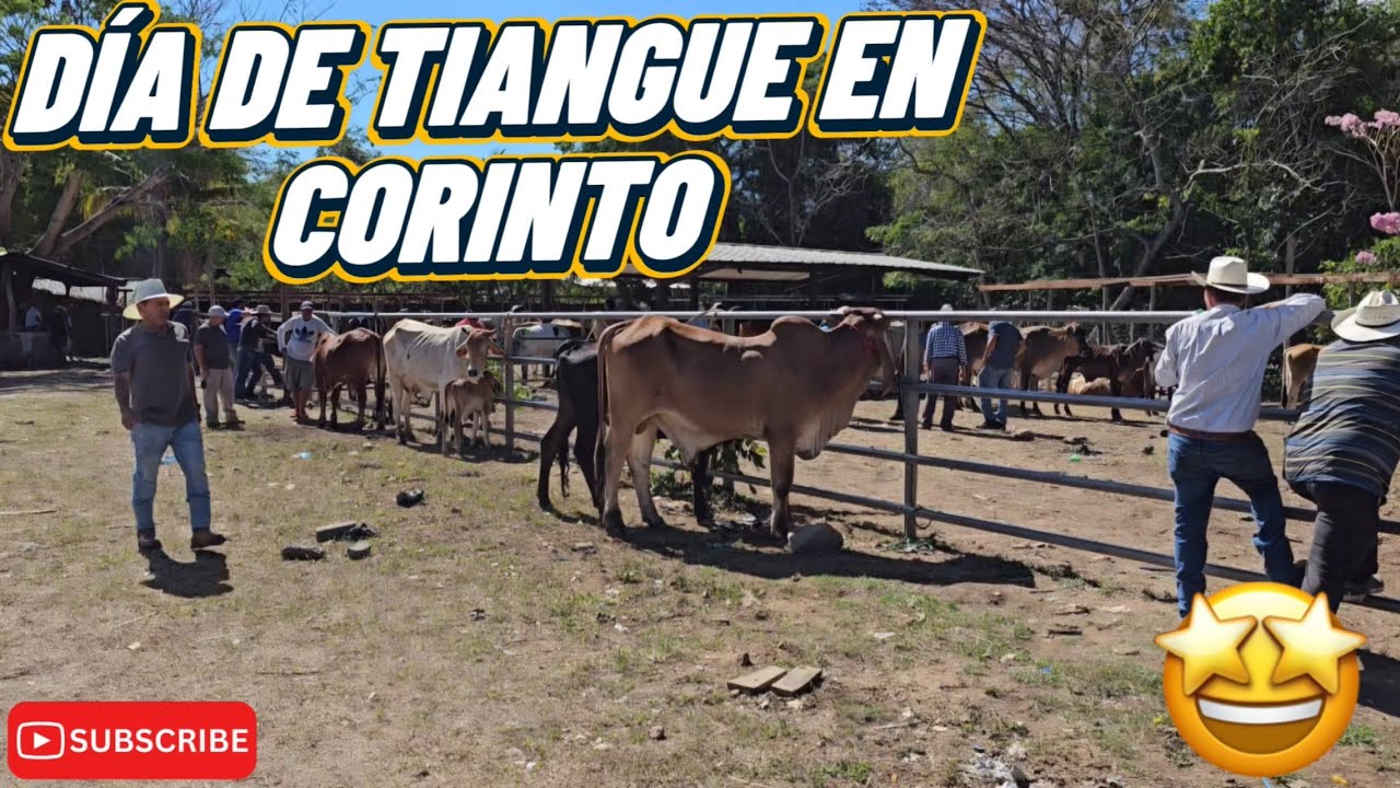 Corinto Morazán 