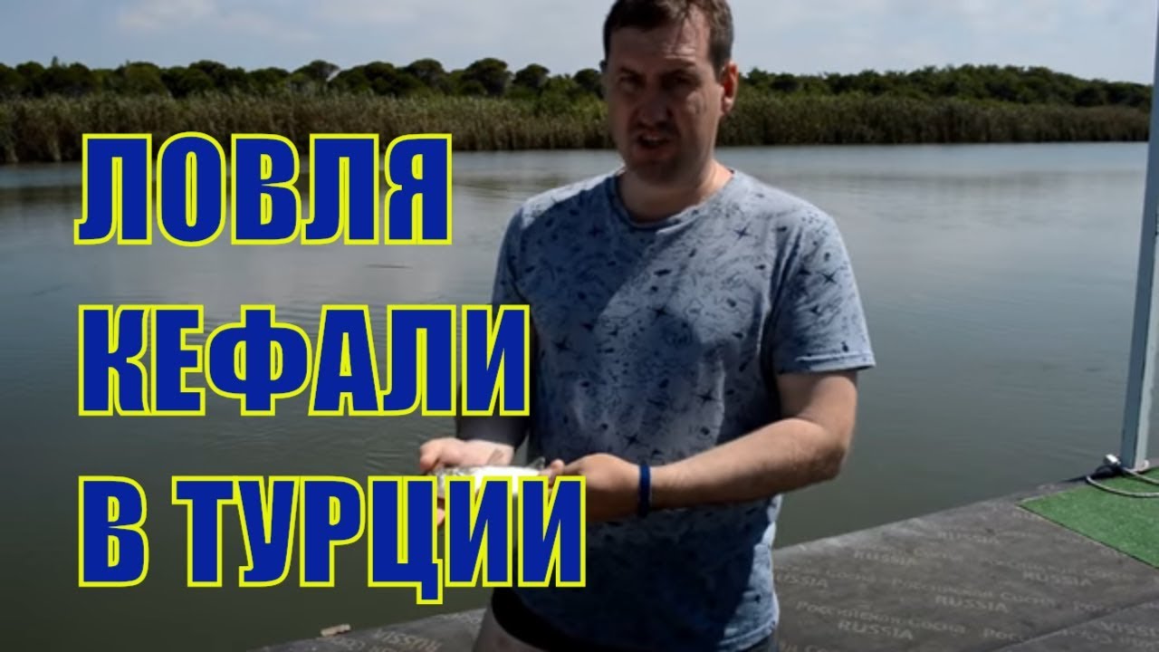 Ловля кефали и рыбы чупра на реке в Турции в Белеке.
