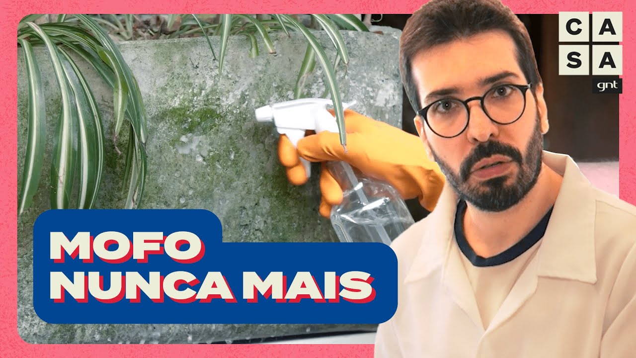 COMO TIRAR e EVITAR MOFO: roupas, sapatos, armários, vegetais e vasos de plantas | SOS Limpeza