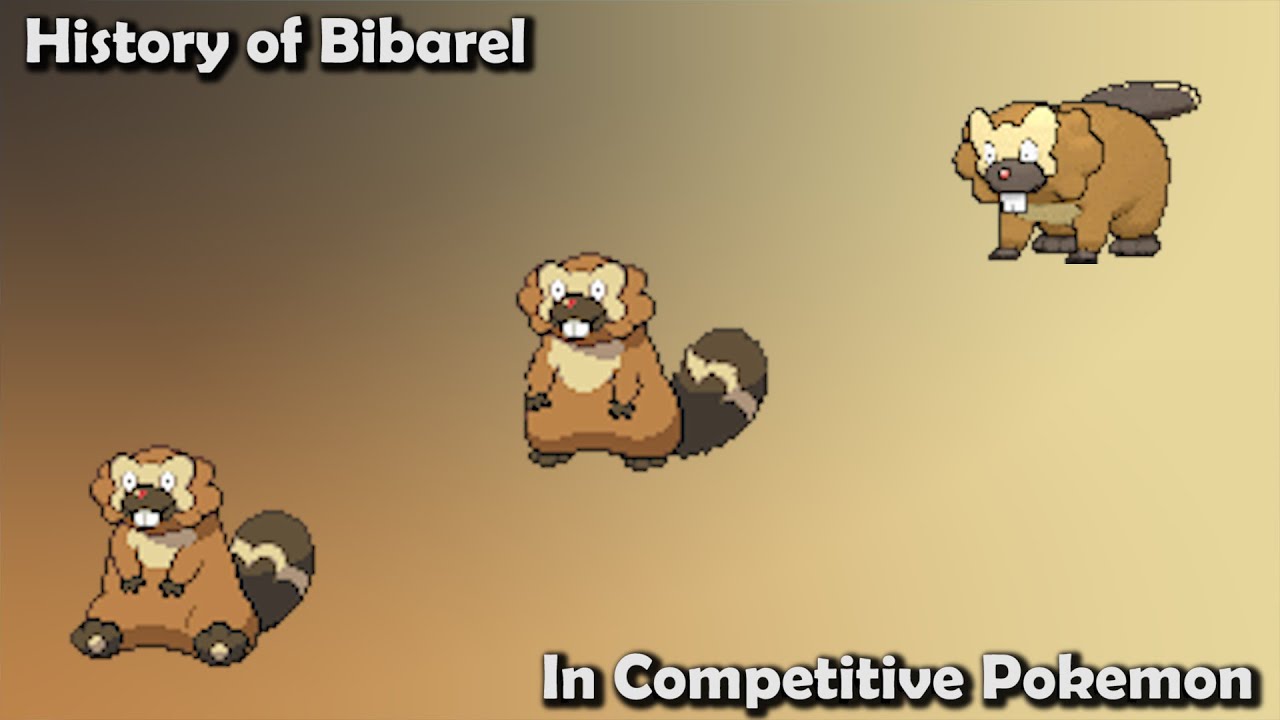 How GOOD was Bibarel ACTUALLY? - History of Bibarel in Competitive Pokemon