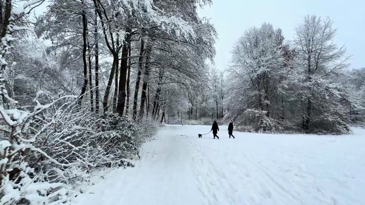 White Winter in Hamburg 🇩🇪January 2026🎄