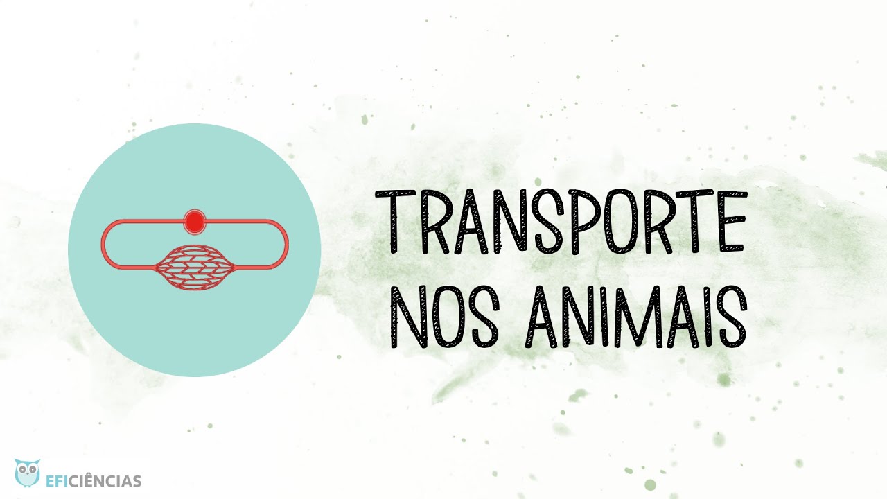 Transporte nos animais - Biologia e Geologia 10&ordm;ano