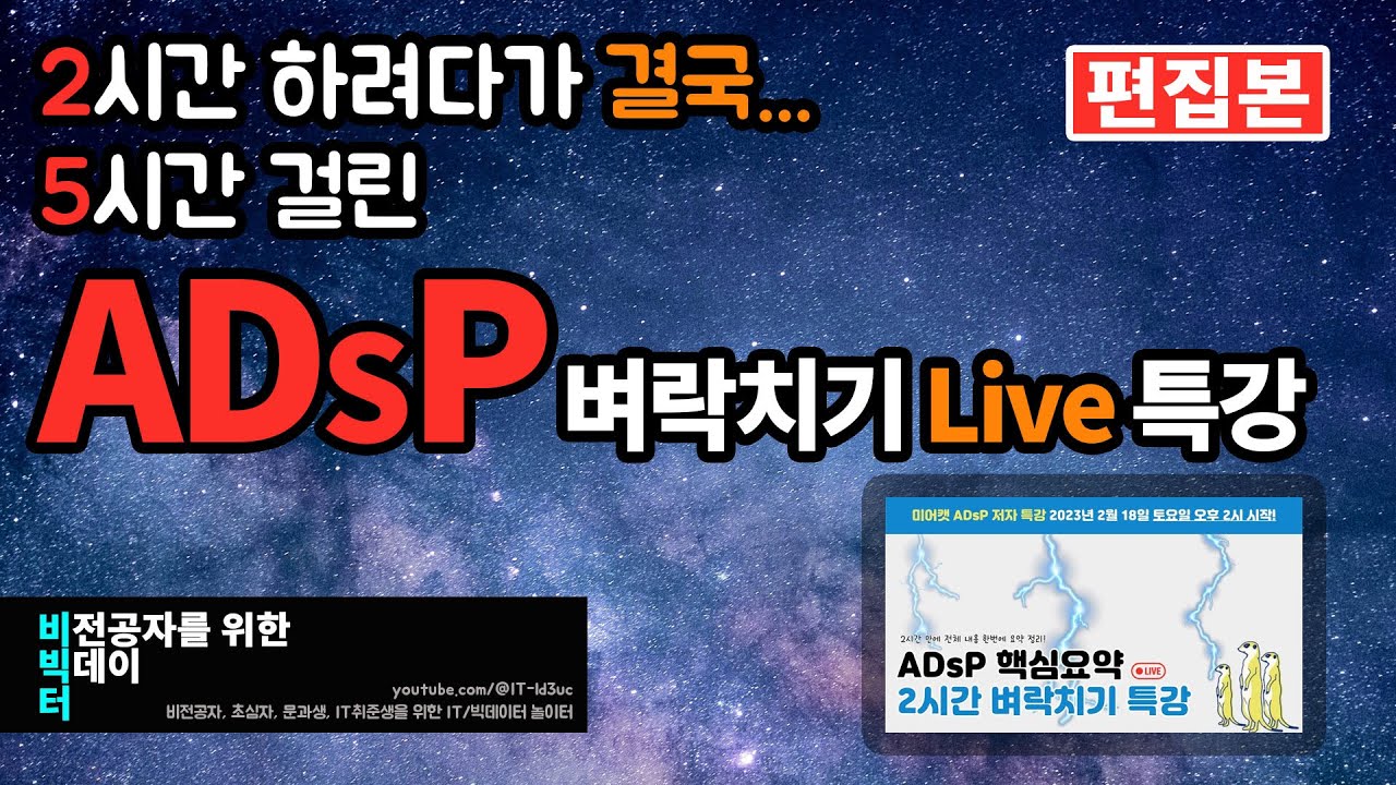 ADsP 핵심요약 5시간 벼락치기 특강 | 미어캣 [편집본] | adsp 독학
