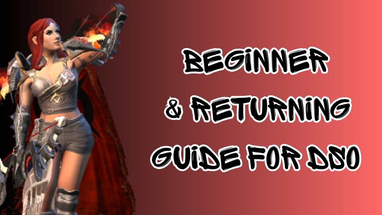 beginner guide to DSO RANGER