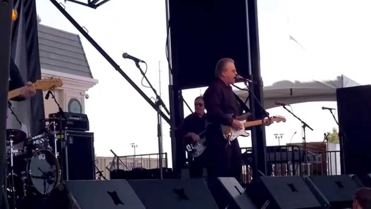 The Trashmen - Surfin' Bird - Viva Las Vegas 2014 (VLV 17)