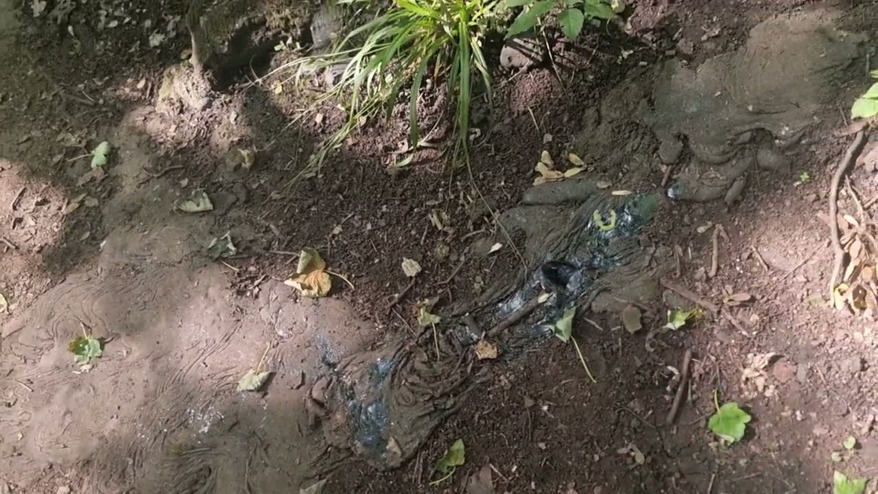 Tar barrels starting to melt in Nightingale Valley