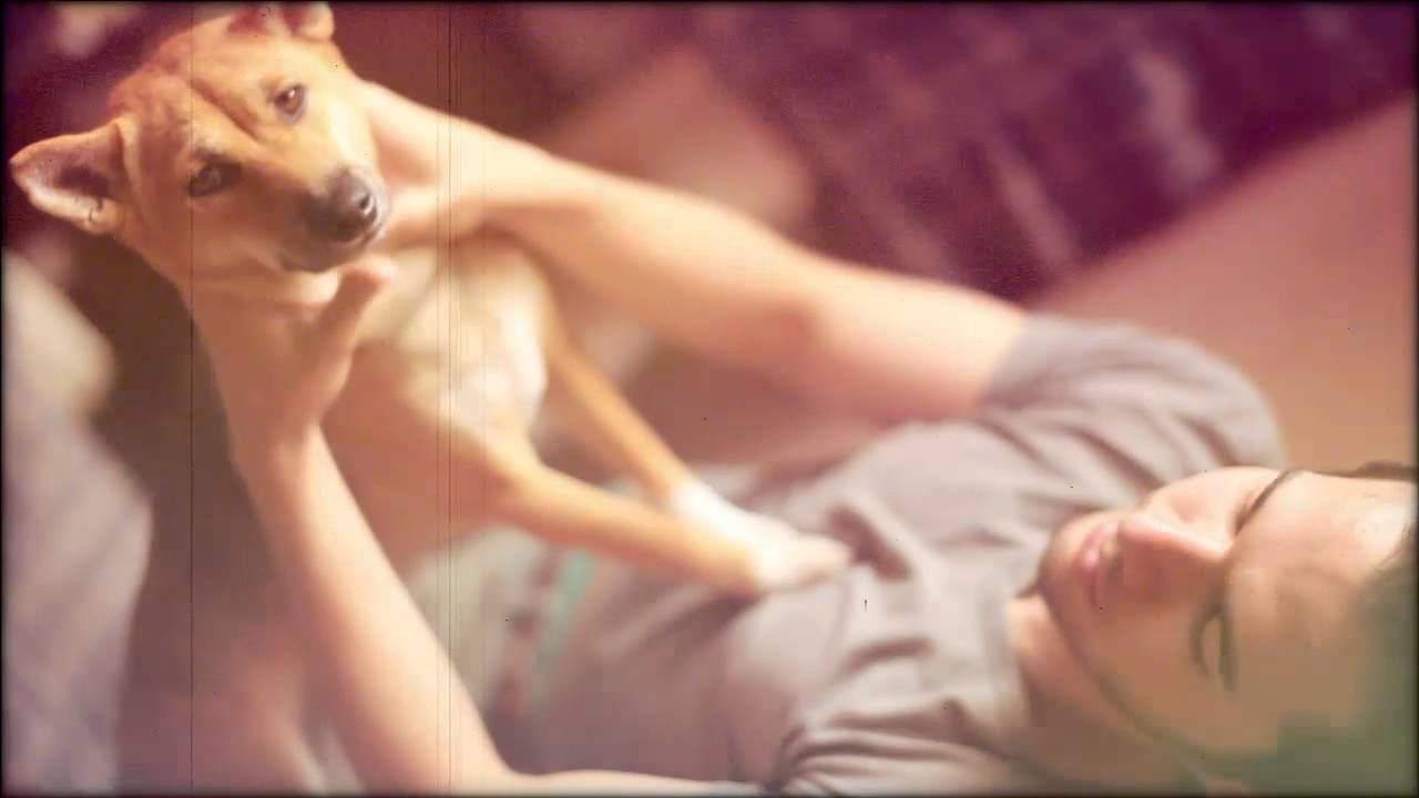 Beautiful Day - Dan Bakst