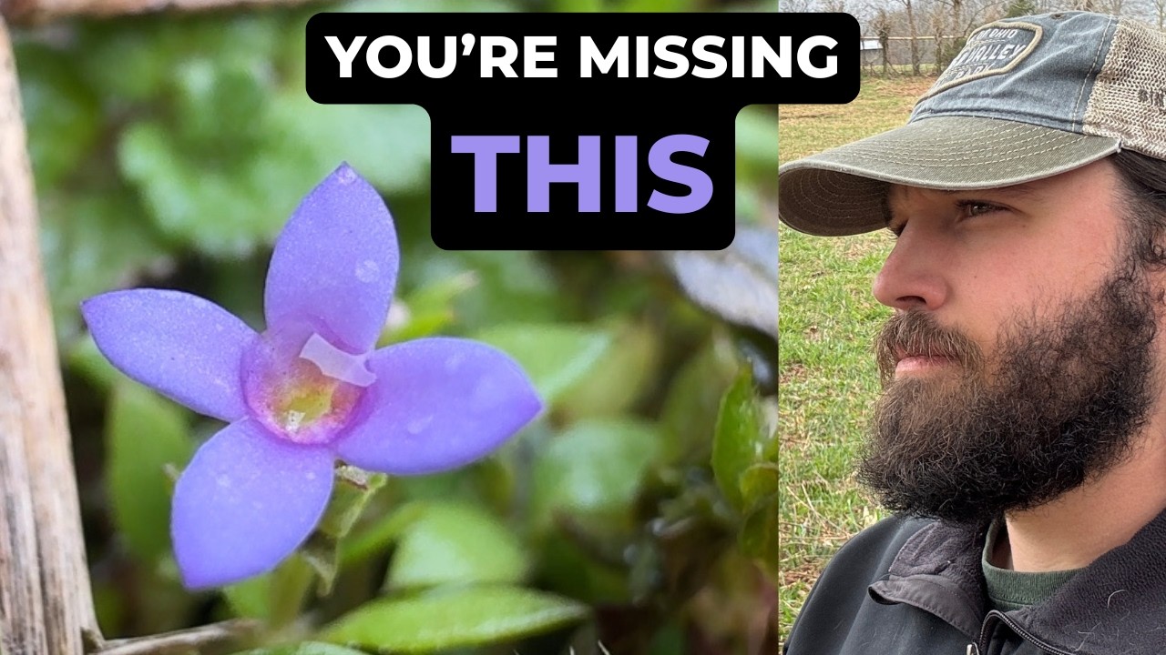 Your Backyard Is More Wild Than You Think