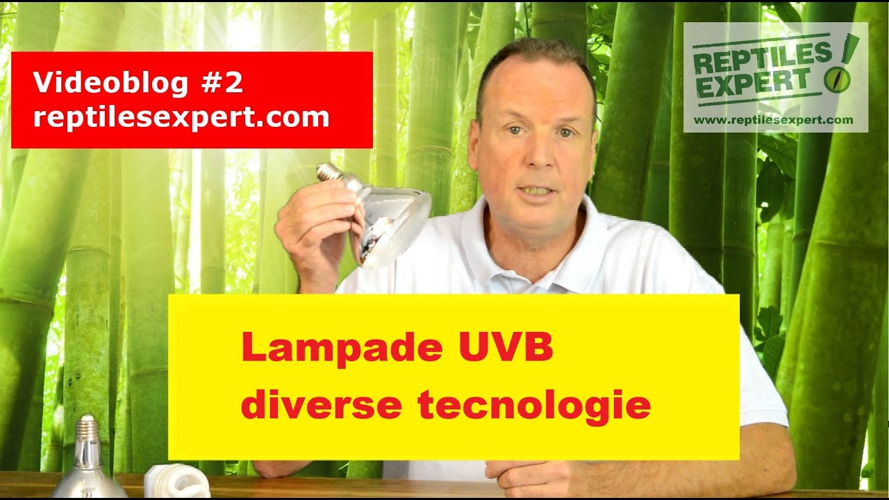 Lampade UVB per terrari: quali diverse tecnologie ci sono?
