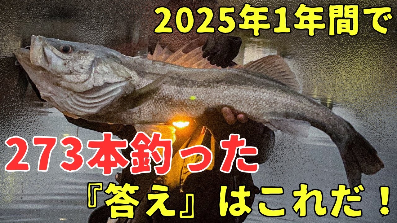 【荒川】2025年釣ったルアーの使い所の紹介動画です。60upの集計もあり／シーバス釣り／湾奥