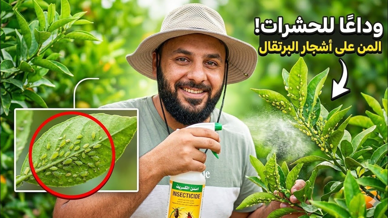رحلة إنقاذ المزرعة: علاج أشجار المزرعة ورش المبيدات الوقائية