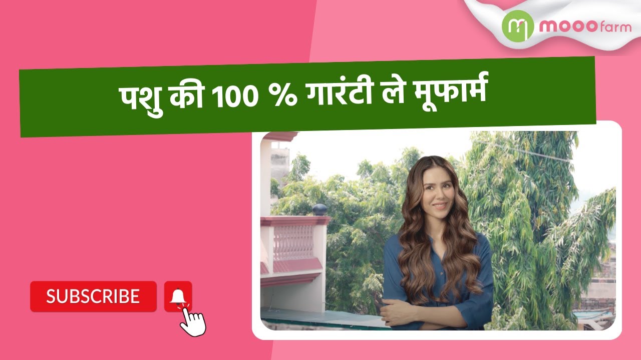 Pashu ki 100% guarantee le Mooofarm