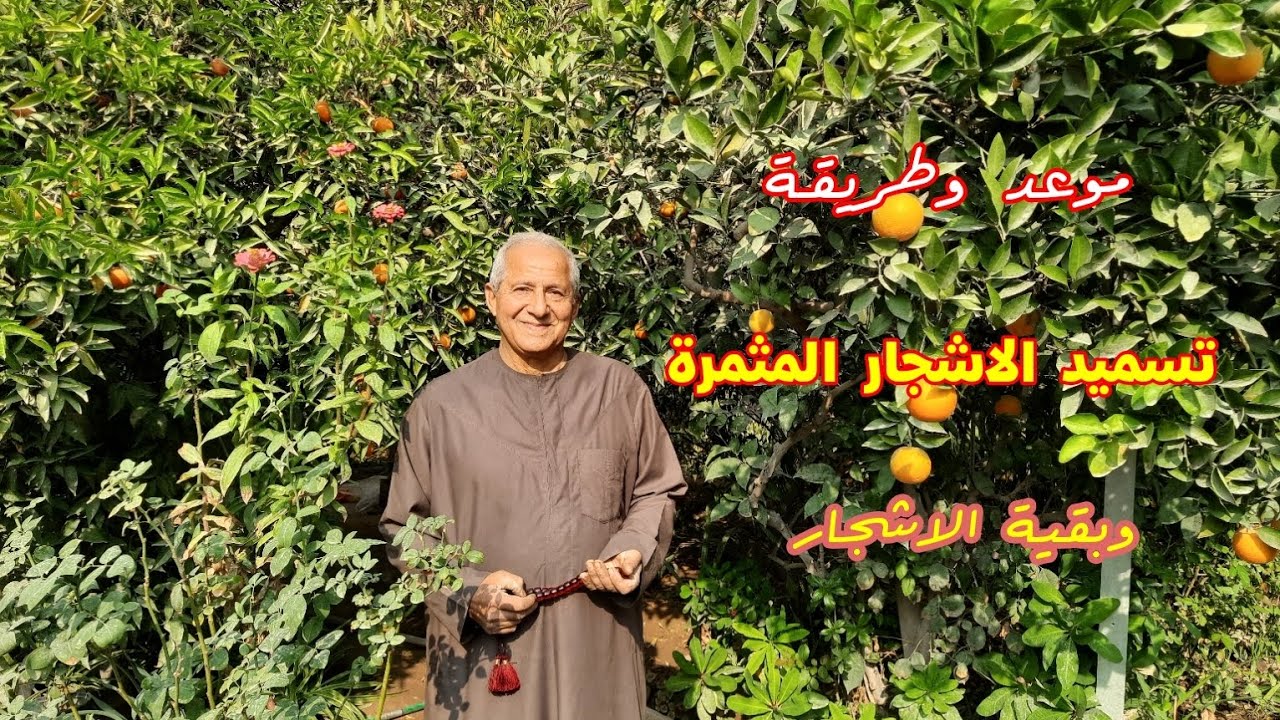 كيف ومتى نسمّد نباتاتنا في الحديقة المنزلية 