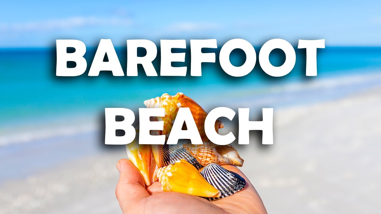 Barefoot Beach Preserve in Southwest Florida