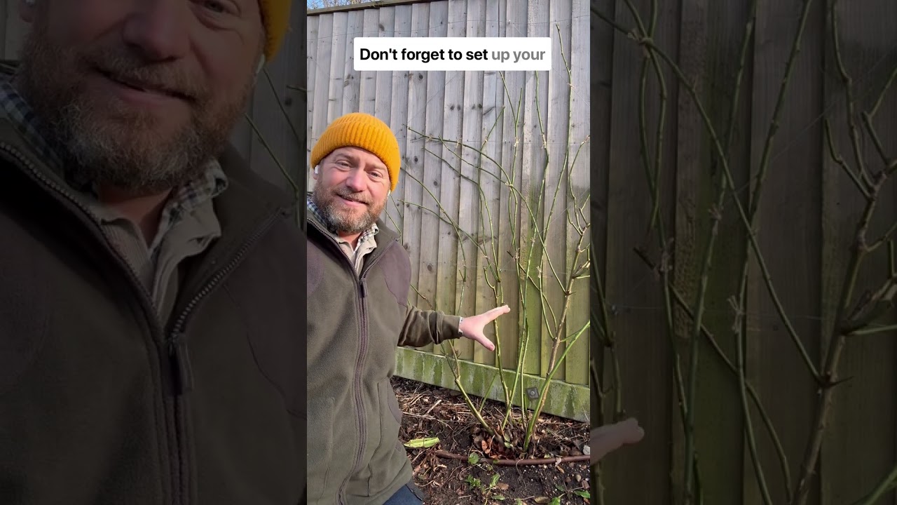 An introduction to all of the rose pruning techniques we’ve covered so far #gardenerben