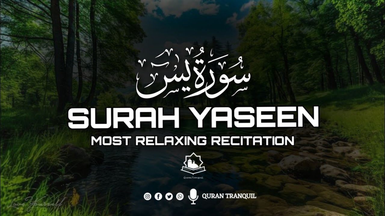 Beautiful Surah Yaseen by Alaa Aql | Emotional Quran Recitation for Healing