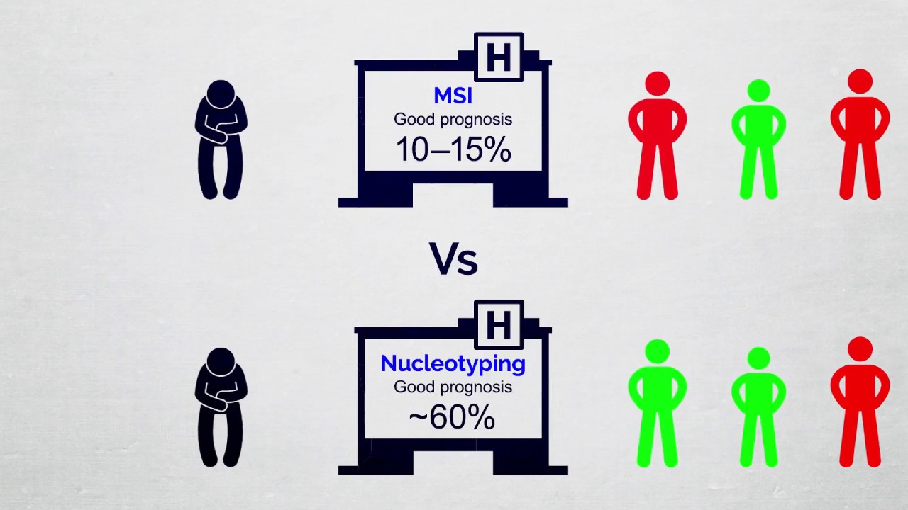 Nucleotyping &bull; Chromatin heterogeneity