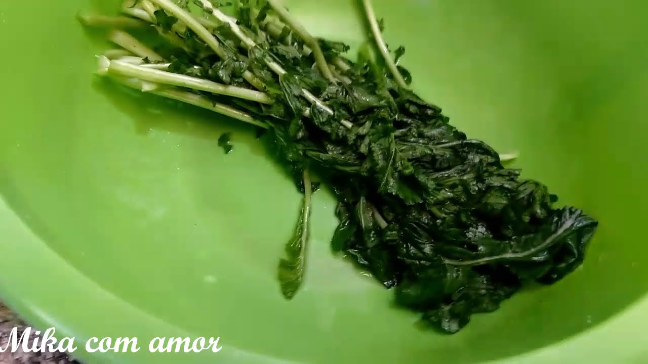 TSUKEMONO DE FOLHAS DE NABO ( conserva de folhas de nabo )