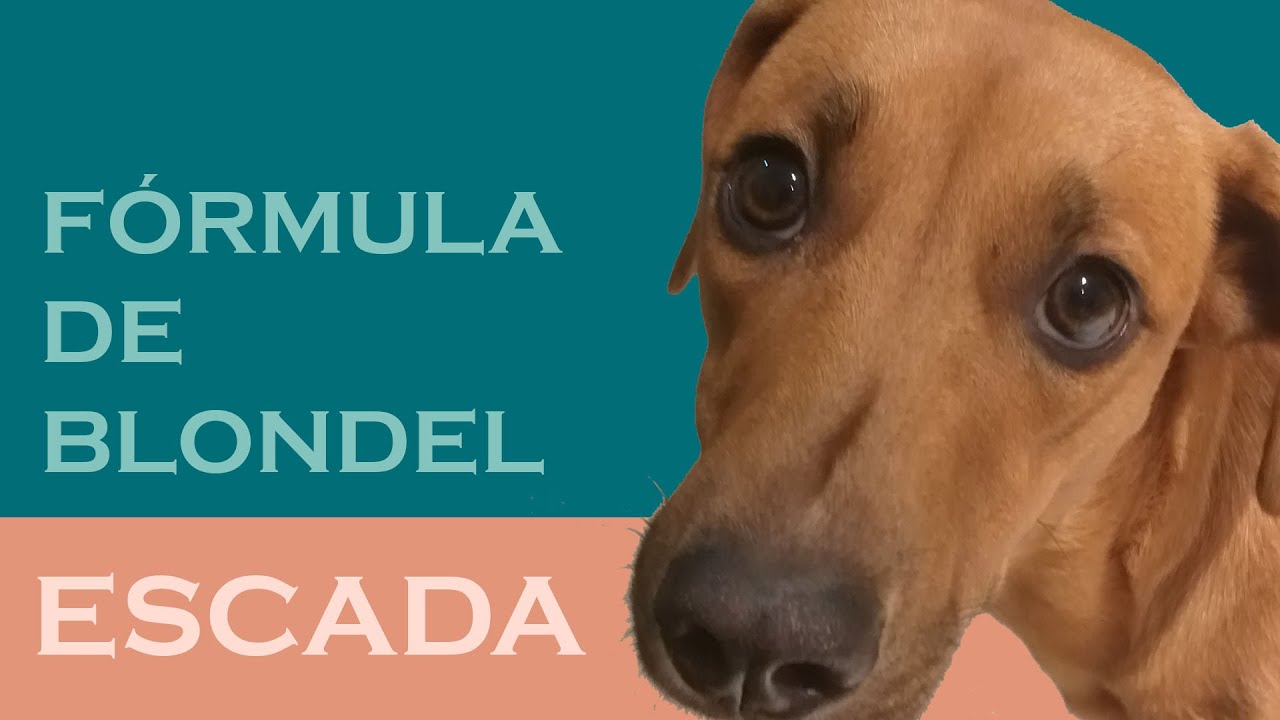CÁLCULO DE ESCADA: Fórmula de Blondel